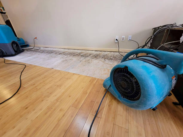 Professional Water Extraction technician working in Forest Grove, OR